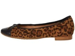 Aerosoles Celia 11 Aerosoles Celia -Steve Madden Sales 61Fz8jlKszL