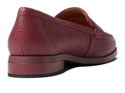 VIONIC Sellah -Steve Madden Sales 71qoWWRlm2L