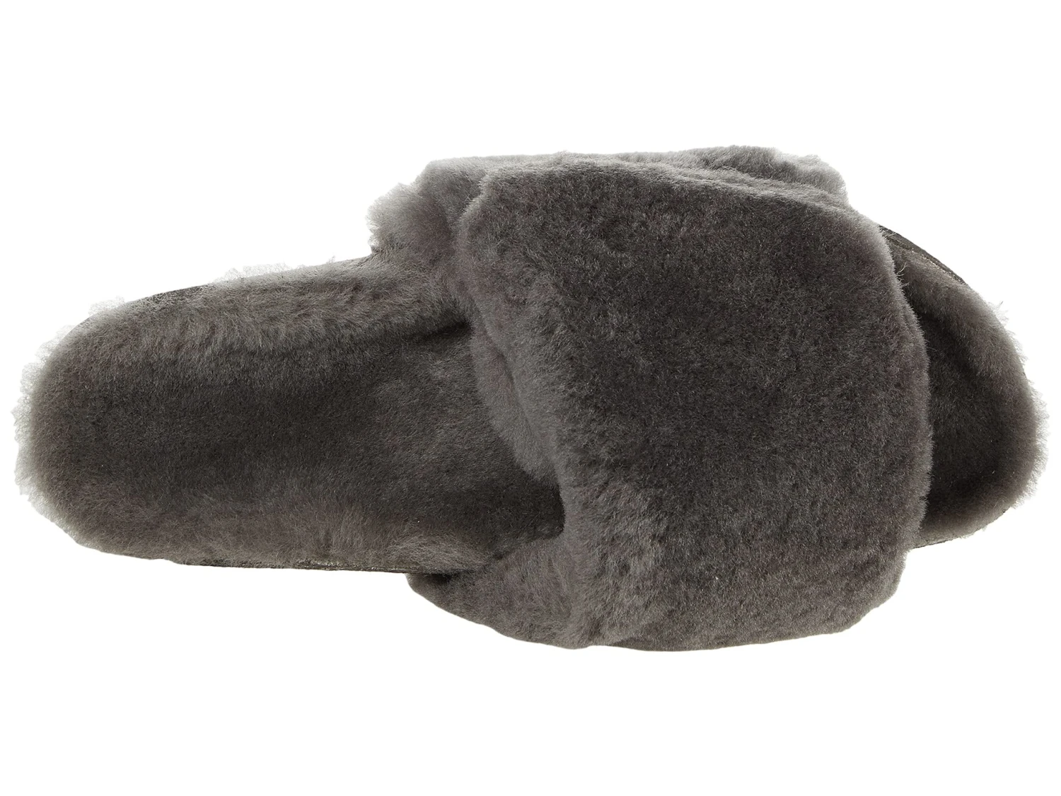 EMU Australia Musica 4 EMU Australia Musica - Image 2