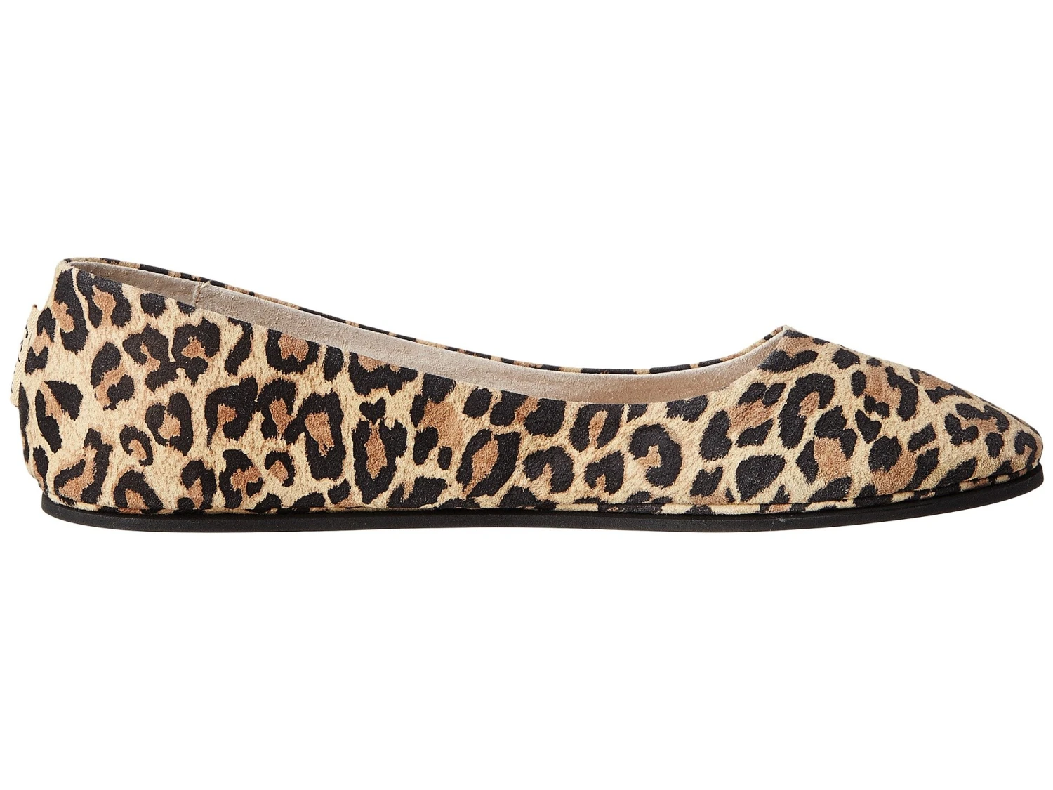 French Sole Sloop Flat 8 French Sole Sloop Flat - Image 6